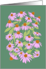 Coneflowers Blank Inside card