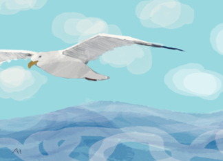 Seagull Over Ocean Sympathy Card