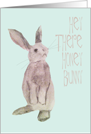 Bunny Rabbit, Honey Bunny - blank card