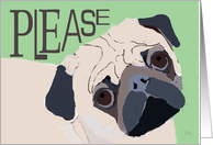 Pug - Birthday Card, Please Have a Tail-Wagging, Happy Birthday card