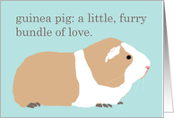Guinea Pig Definition Blank Note Card