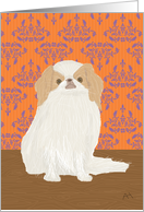 Japanese Chin Dog, Wallpaper - White and Tan, Lemon, Blank Note Card