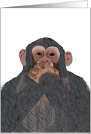 Chimpanzee Speak no...