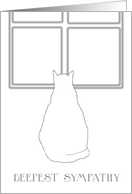 Cat Looking Out Window Drawing - Sympathy Card