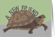New Pet Turtle Congratulations Card - A New Friend card