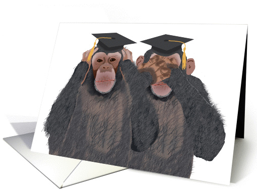 Chimpanzee Hear, See No Evil - Graduation Congratulations... (1087940)