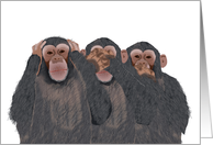 Chimpanzee Hear, See, Speak No Evil - Blank Note Card