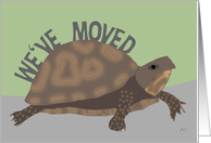 Turtle We've Moved...