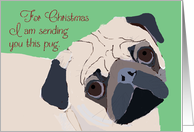 Pug Christmas Card -...