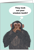 Chimpanzee Hand Over Mouth, Wisdom Teeth Removed, Get Better Card