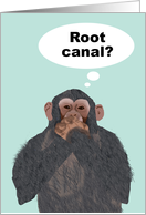 Chimpanzee Hand Over Mouth, Root Canal, Get Better Card