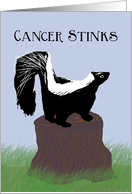 Skunk on a Stump, Cancer Stinks Card