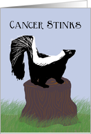 Skunk on a Stump,...