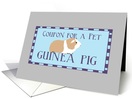 Birthday Coupon for a Pet Guinea Pig, Happy Birthday card (1294220)