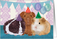 Guinea Pigs in Birthday Hats, Birthday Party for Guinea Pig Invitation card