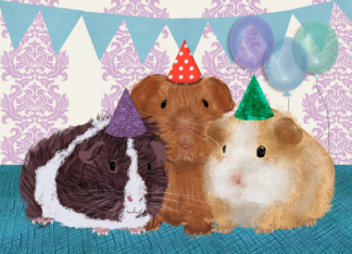 Guinea Pigs in...