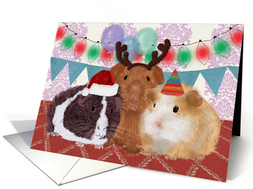 Guinea Pig Happy Birthday on Christmas card (1320592)