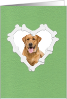 Custom Photo Sympathy Loss of Dog Card, Heart Shaped Frame of Bones card
