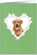 Custom Photo New Dog Announcement, Heart Shaped Frame of Bones card