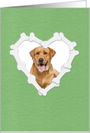 Custom Photo Dog Birthday Party, Heart Shaped Frame of Bones card