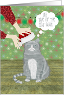 Irritated Cat With Santa Hat Christmas Card