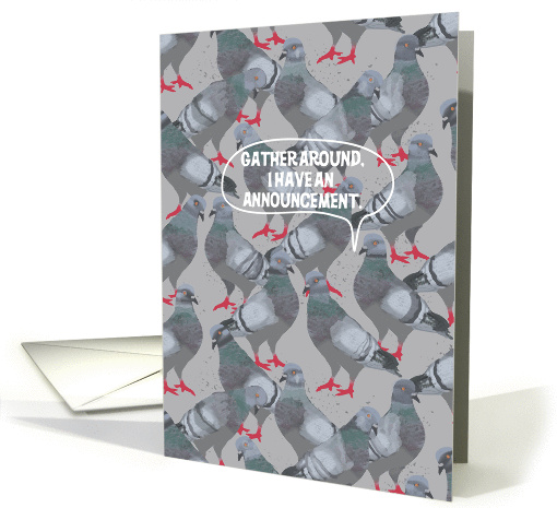 Pigeon Making an Announcement to a Flock card (1386796)