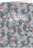 Pigeon Issuing an Invitation card