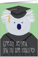 Graduation Congratulations for Great Nephew, Funny Koala Bear Card