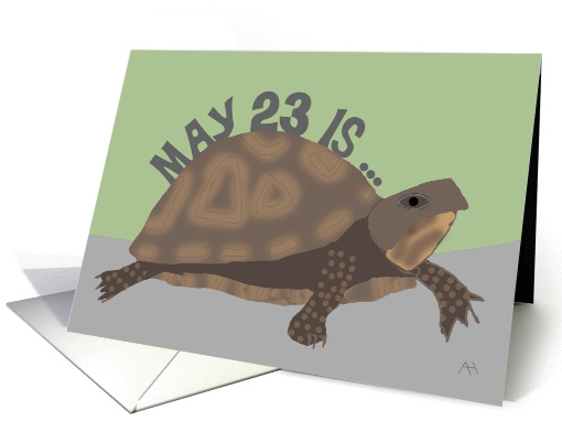 Birthday on World Turtle Day, May 23rd card (1395026)