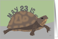 Birthday on World Turtle Day, May 23rd card