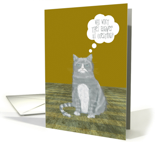 Answer Your Cat's Questions Day, January 22nd card (1433156)