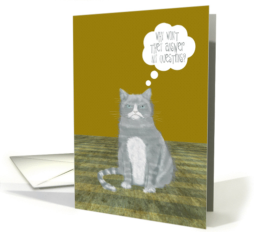 Anniversary on Answer Your Cat's Questions Day, January 22nd card