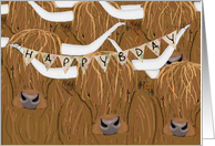 Scottish Highland Cow Happy Bday for Farmer card