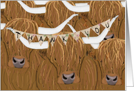 Scottish Highland Cow Herd, Thank you card