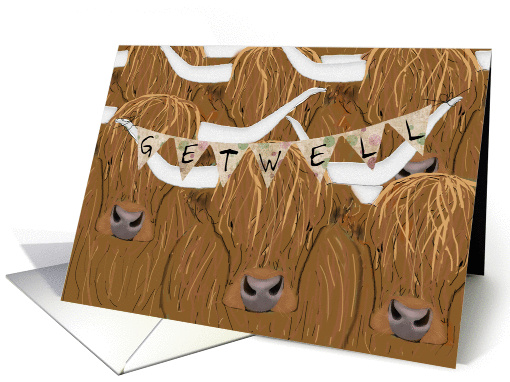 Scottish Highland Cow Humorous Get Well card (1436690)