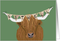 Scottish Highland Cow, Get Well from Accident card