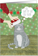 Irritated Cat With Santa Hat Christmas Open House Party Invitation card
