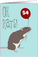 Oh, Rats! I forgot...