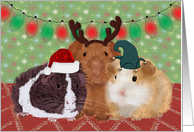 Christmas Party Invitation Featuring Festive Guinea Pigs card