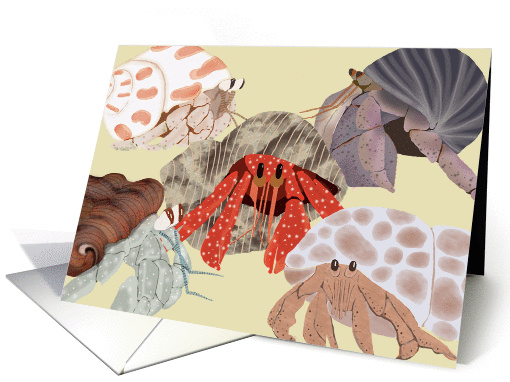 Sympathy for Loss of Hermit Crab card (1438596)