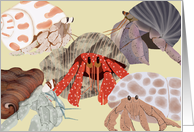 Welcome to the Neighborhood Hermit Crabs card