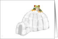 Frog on an Igloo, Miss you from across the miles card