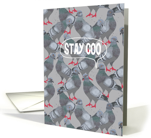 Stay Coo (Stay Cool) City Pigeon, Friendship card (1454778)