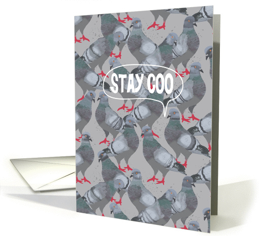 Stay Coo (Stay Cool) City Pigeon, Good Bye card (1455056)