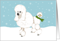 Fun Poodle Holiday Card