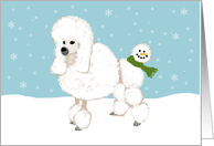 Fun Poodle Holiday Card from Animal Service Business card