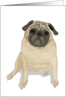 Pug Illustration Blank Note Card