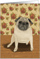 Pug Illustration Get Well card