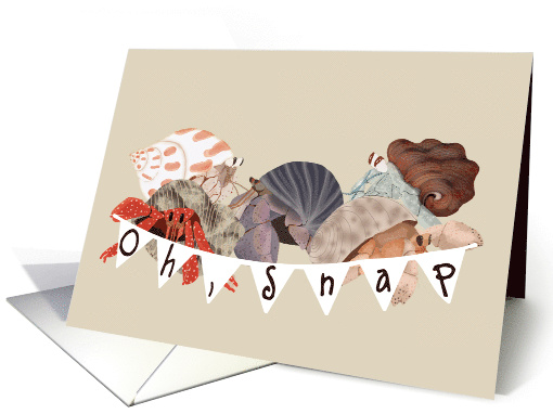 Hermit Crab Blank Note Card - Oh, Snap card (1464326)