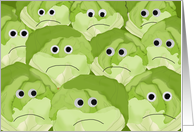 Funny Apology Card from Group Lettuce Pun card